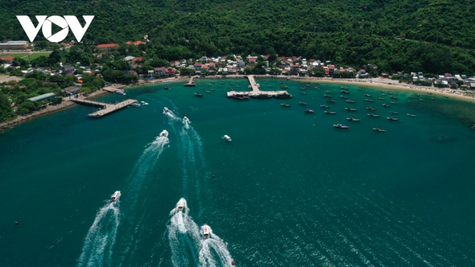 Cu Lao Cham nature reserve established to protect diverse ecosystems